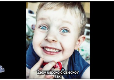 Jeden z sześciu